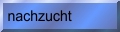 Sie interessieren sich fuer unsere Nachzucht ? Dann klicken Sie hier...